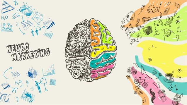 neuromarketing55 بازاریابی عصبی